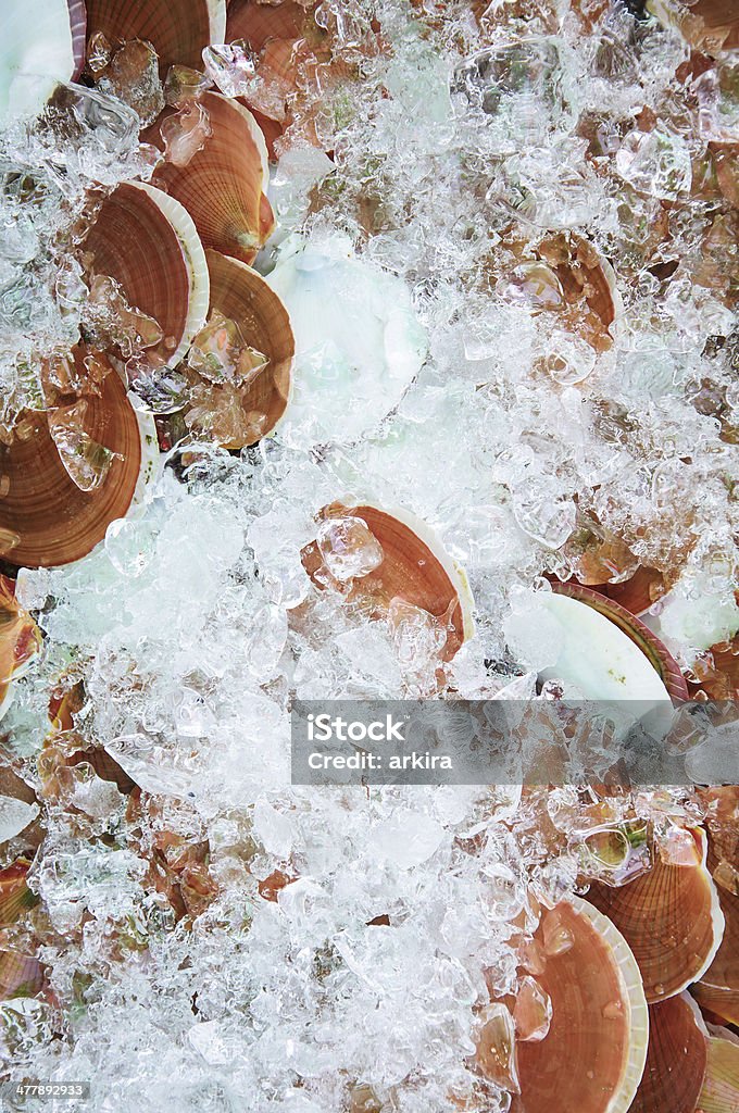 Haufen von Muscheln Meeresfrüchte - Lizenzfrei Arrangieren Stock-Foto