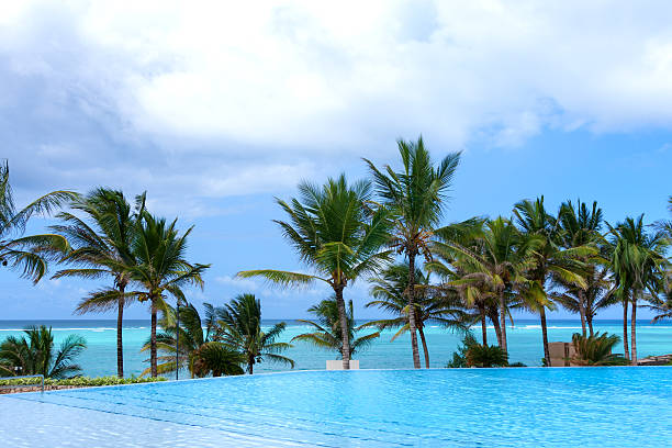 istock poolside palm trees and sea 477893020