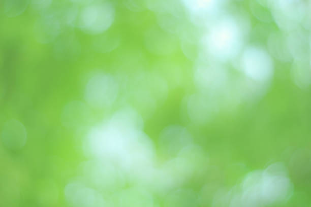 istock Natural bokeh background in green tone 477893282