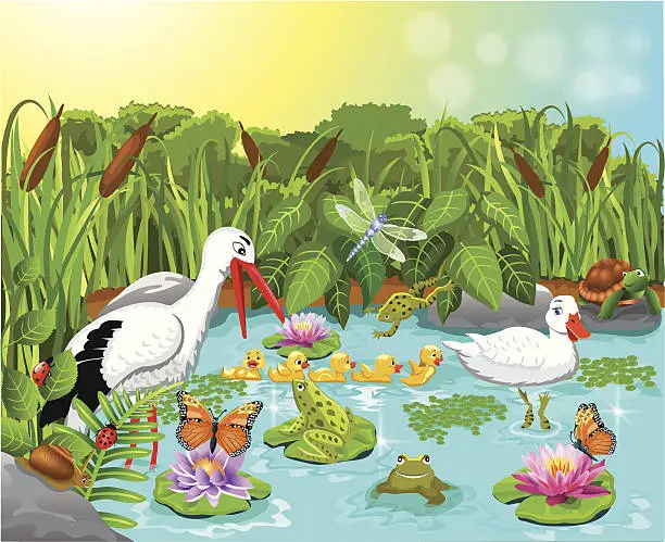 Vector illustration of wild life in the pond