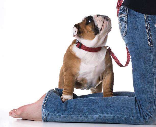 istock woman and her dog 477893912