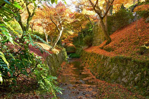 small river in autumn, kyoto stock photo