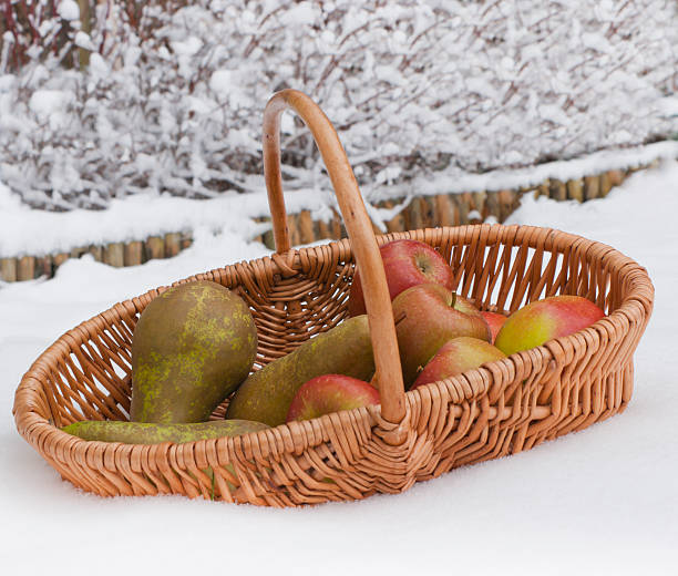 Saudável frutas frescas colhidas guardado ou entregues no Inverno. - fotografia de stock