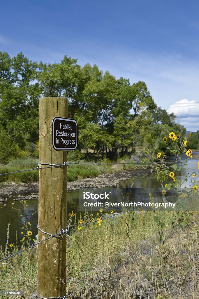 Habitat restauração placa de flores silvestres, stream, e a floresta. - Foto de stock de Animal selvagem royalty-free