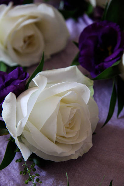 istock White Rose Wedding Buttonhole Flowers 477896989