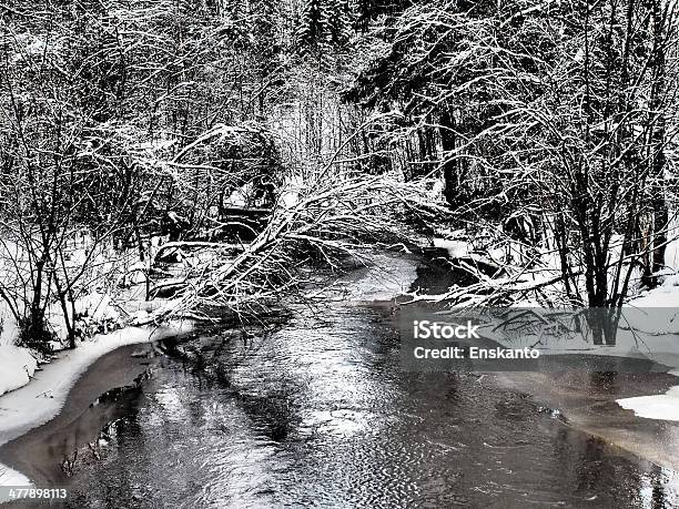 River En Invierno Foto de stock y más banco de imágenes de Agua - Agua, Aire libre, Belleza