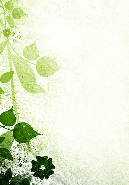 istock Floral green announcement card 477898659