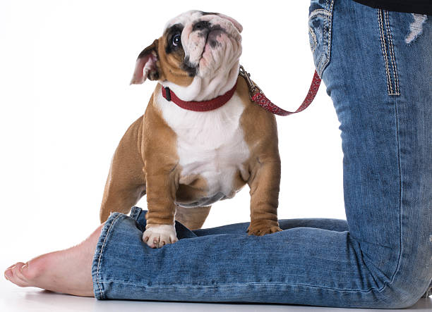 istock woman and her dog 477899378