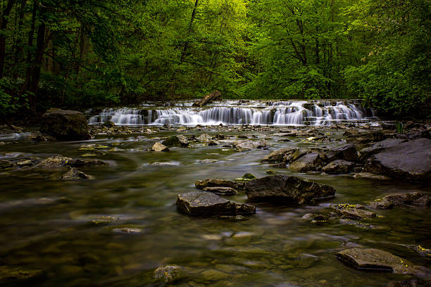 почтовая открытка падает на corbetts glen в рочестер, нью-йорк - nobody tranquil scene nature park стоковые фото и изображения