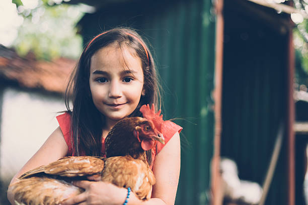 istock Girl holding a hen 477900984
