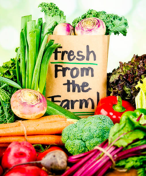 istock Fresh Organic Vegetables From the Farm 477901585