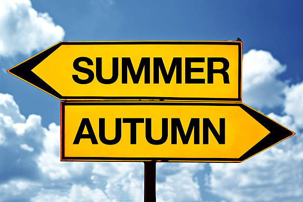 istock Summer or autumn opposite signs 477901687