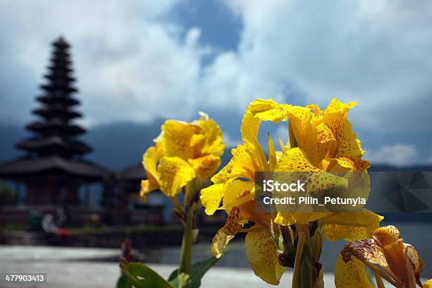 黄色の背景にグラジオラスの寺院 Ulun Danau ますバリ - まぶしいのストックフォトや画像を多数ご用意 - まぶしい, アジア大陸, インドネシア