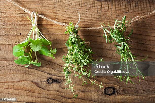 Frescos Dela Pendurar Na Corda - Fotografias de stock e mais imagens de Alecrim - Alecrim, Alimentação Saudável, Botânica - Ciência de plantas