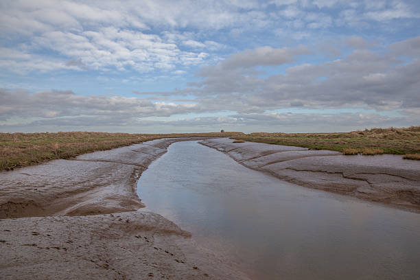 lincolnshire sal marsh - swamp moody sky marsh standing water imagens e fotografias de stock