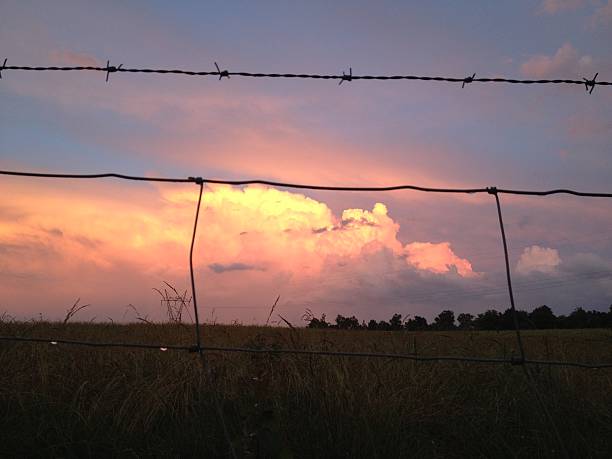 istock Pink clouds after storm at sunset through the fence 477911920
