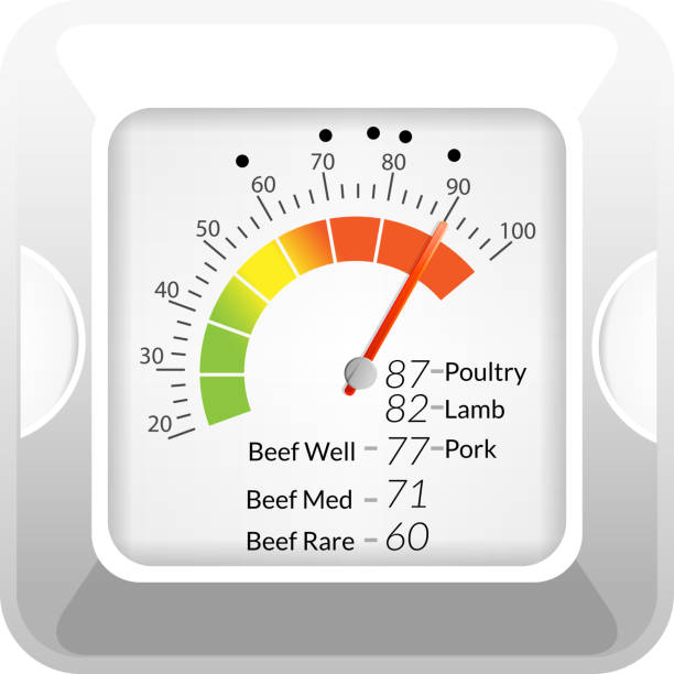 illustrations, cliparts, dessins animés et icônes de viande therometer - thermometer cooking meat gauge