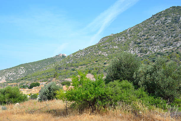 istock Summer landscape in Greece. 477912554