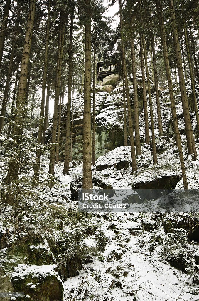 Inverno nella foresta - Foto stock royalty-free di Abete