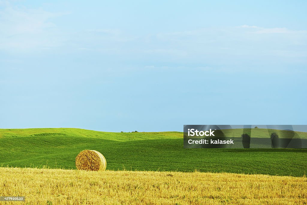 Paisagem de Verão - Royalty-free Agricultura Foto de stock