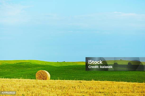 Paisagem De Verão - Fotografias de stock e mais imagens de Agricultura - Agricultura, Ajardinado, Ao Ar Livre