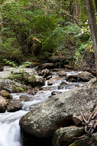 istock Forest waterfall in Helen Georgia. 477920761
