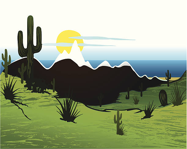 kaktus saguaro, góry i rzekę. wektor - sonoran desert illustrations stock illustrations