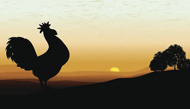 Vector illustration of Rooster Crowing at Dawn - Farm Animal