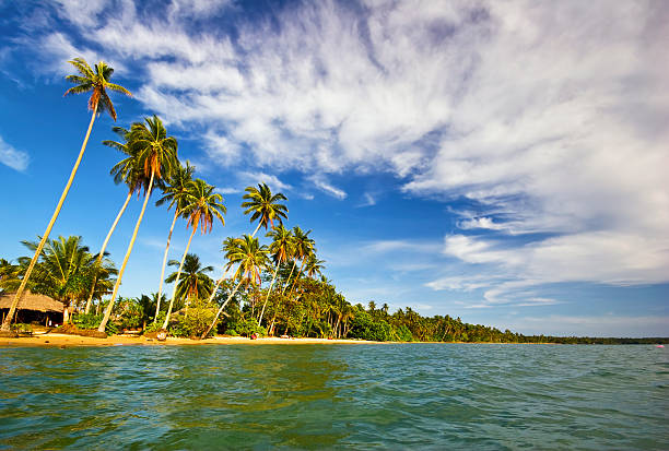 istock In the tropical sea 477925804