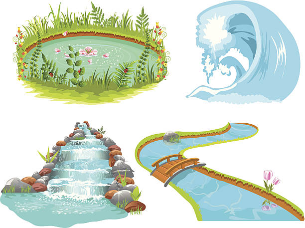 water collection vector collection of water: pond, wave and two brooks, isolated on a white background pond illustrations stock illustrations
