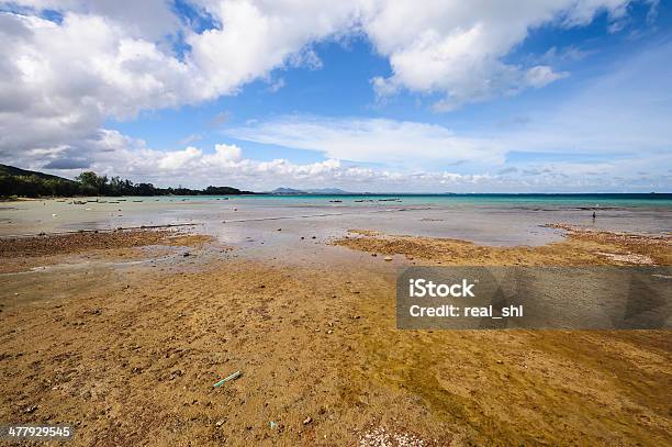 Bellissimo Paesaggio Di Mare - Fotografie stock e altre immagini di Acqua - Acqua, Ambientazione esterna, Ambiente
