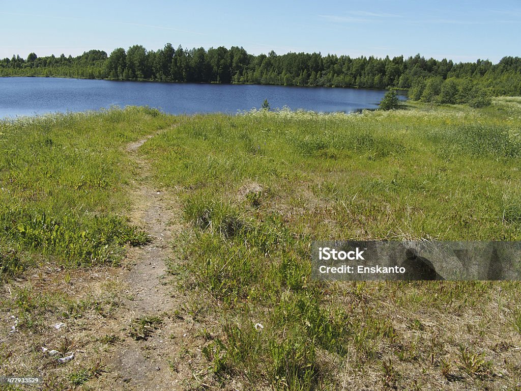 Lago en el verano - Foto de stock de Agua libre de derechos