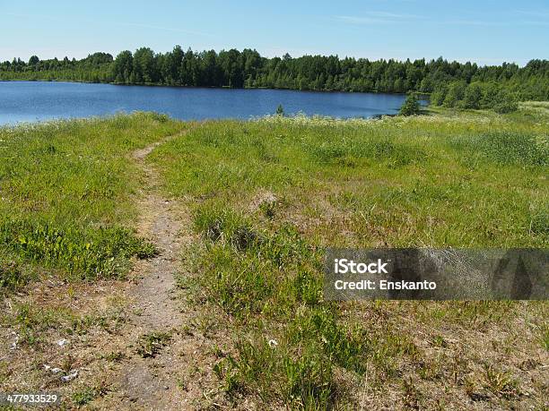 Lago En El Verano Foto de stock y más banco de imágenes de Agua - Agua, Agua potable, Aire libre