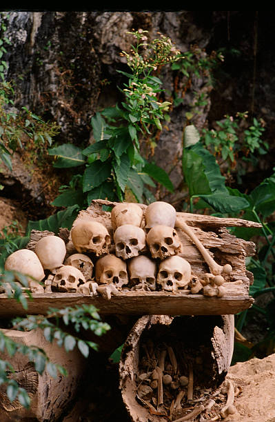 istock Tana toraja, Sulawesi 477934320