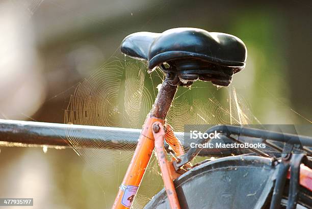 Kurier Saddle Uwięziony Przez Spiderweb - zdjęcia stockowe i więcej obrazów Amsterdam - Amsterdam, Antyczny, Bicykl