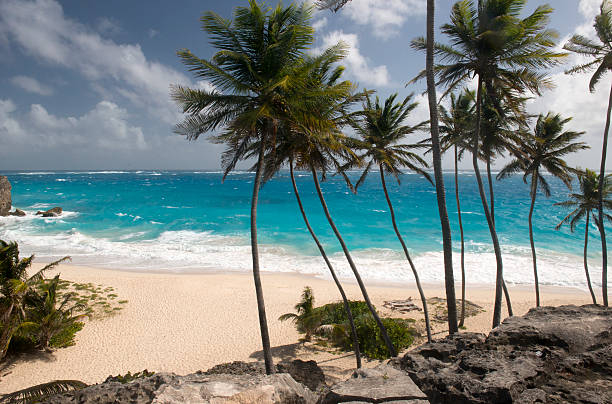 istock Beach of Barbados island, Caribbean 477938996