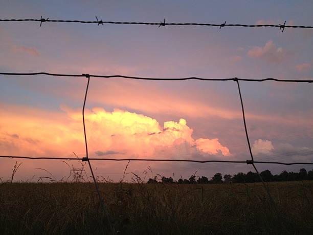 istock Pink clouds through the fence at sunset 477939198