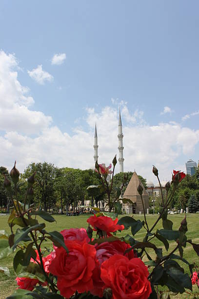 Mosque, tomb and roses stock photo