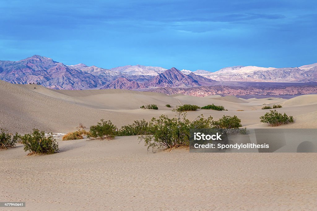 Sand Dunes und Mesquite, Death Valley - Lizenzfrei Ausgedörrt Stock-Foto