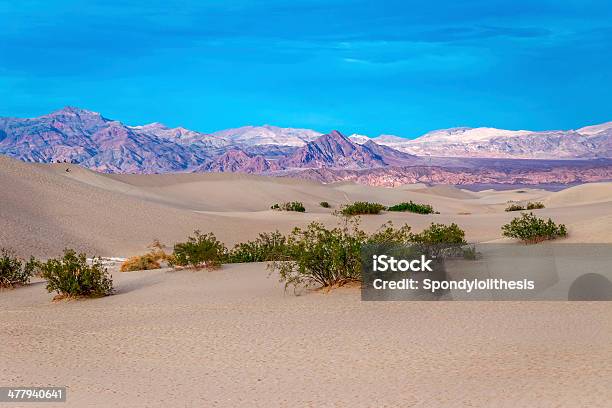 Sand Dunes Und Mesquite Death Valley Stockfoto und mehr Bilder von Ausgedörrt - Ausgedörrt, Baum, Berg