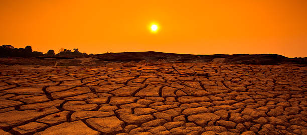 istock Sunset over cracked land and arid terrain 477942047