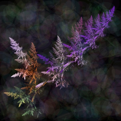 Fractal colorful fern leaves over a blurred dark colors background