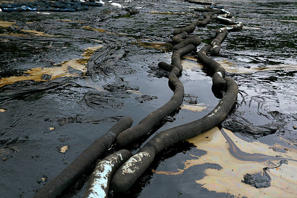 istock crude oil spill on the beach 477942445