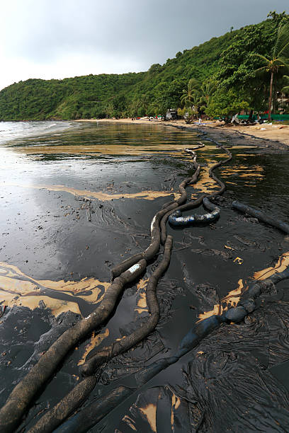 istock crude oil spill on the beach 477942553