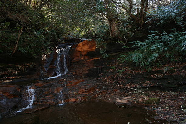 istock Mountain River Brevard North Carolina 477943173
