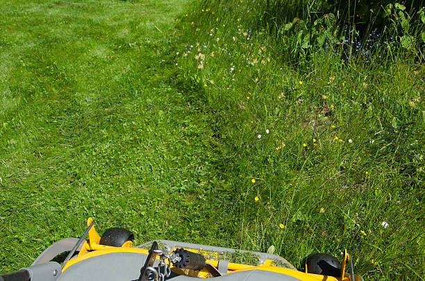 schneiden der rasen - lawn mower tractor gardening riding mower stock-fotos und bilder