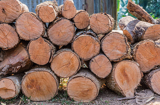 istock Firewood stacked up in a pile for kindle 477946214