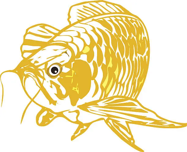 Vector illustration of Dragon fish vector
