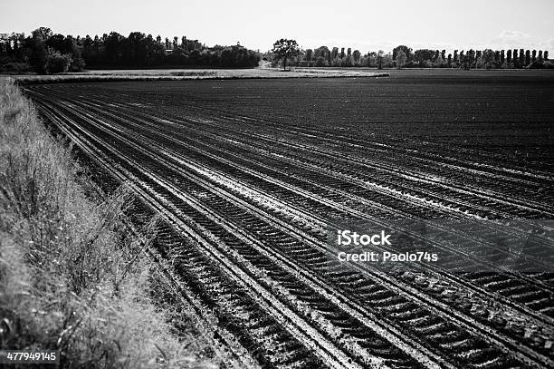 Italian Countryside Landscape Stock Photo - Download Image Now - Agricultural Field, Agriculture, Beauty