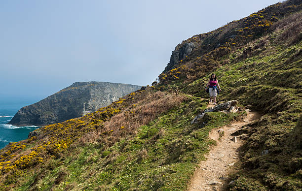 istock South West coast path near Tintagel Cornwall 477949920